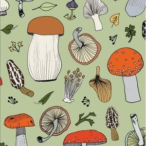 Meet your Posher, Katarina